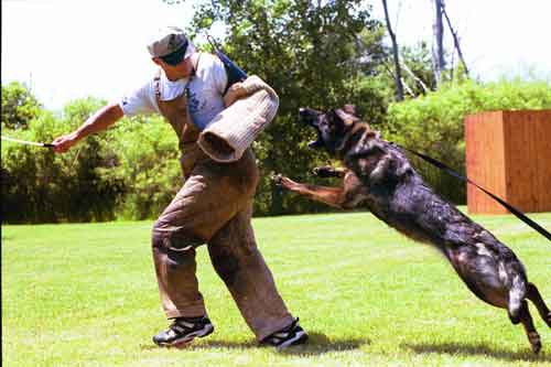 Schutzhund Village